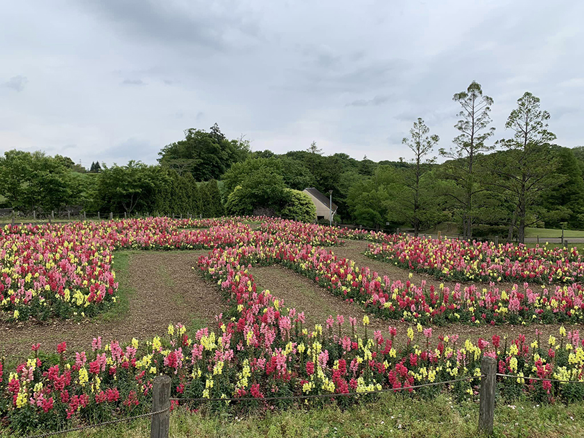 船橋アンデルセン公園③