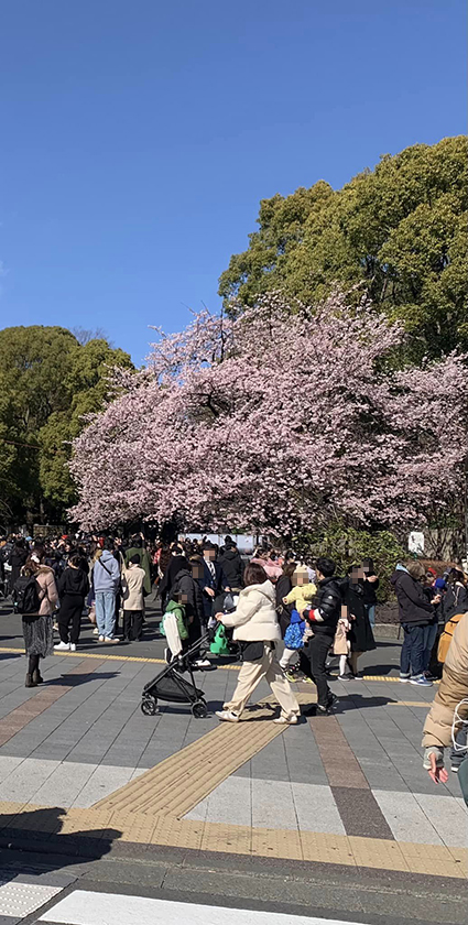 3月9日現在