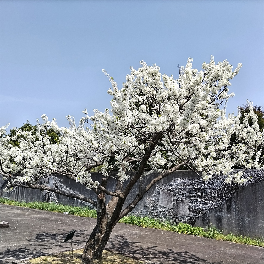 画像に alt 属性が指定されていません。ファイル名: 2025032805.jpg