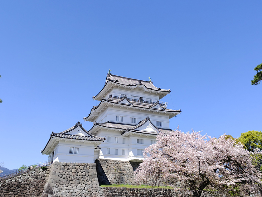小田原城址公園