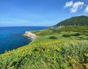 奥尻島