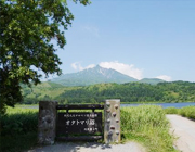 利尻島