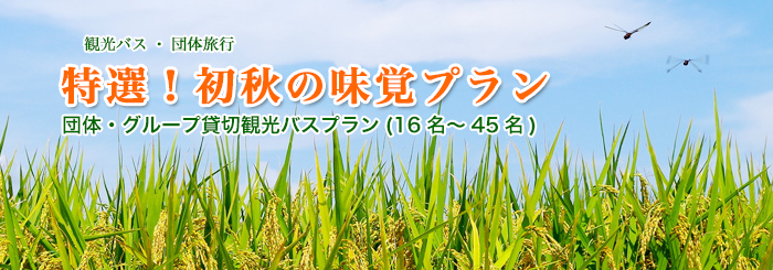特選！初秋の味覚プラン