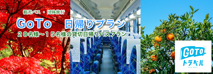 GoTo日帰りプラン